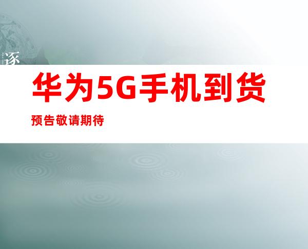 传承红色血脉，筑牢Weilink长城